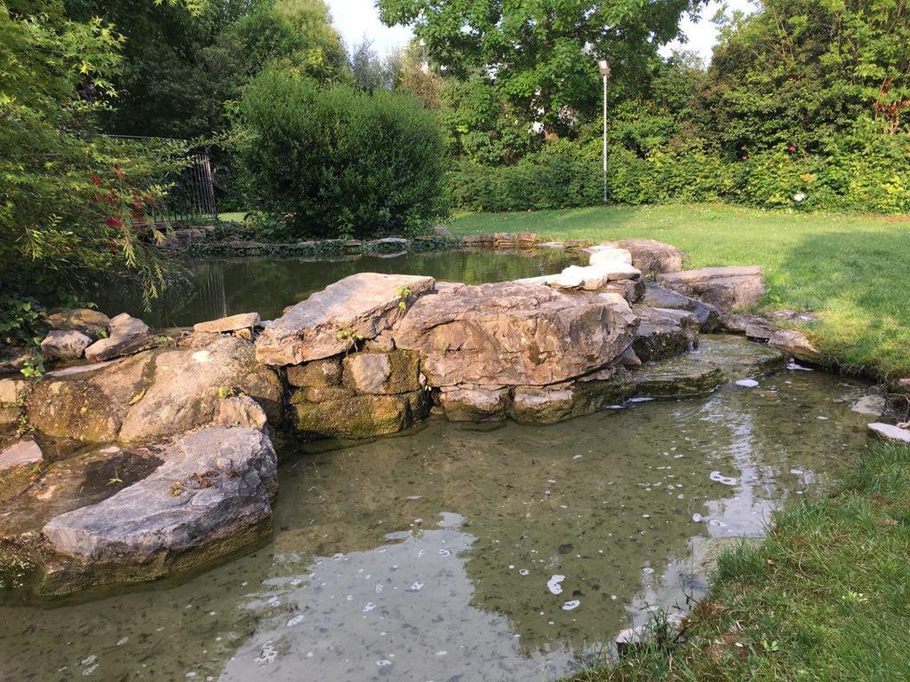 Hotel Il Leone D'Oro Telgate Zewnętrze zdjęcie