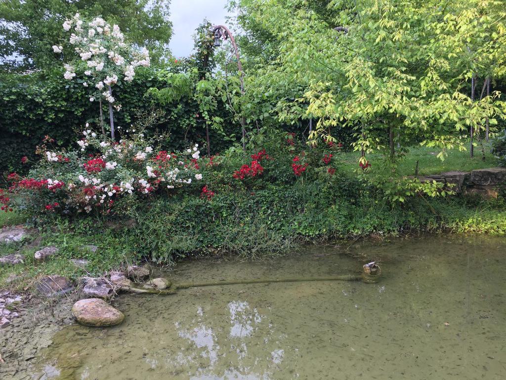 Hotel Il Leone D'Oro Telgate Zewnętrze zdjęcie